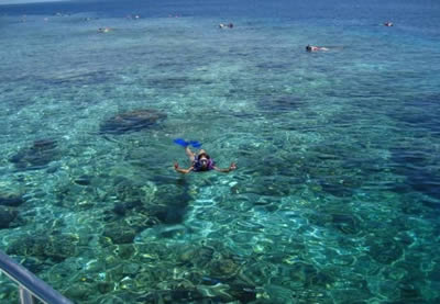 【马尔代夫旅游攻略】马尔代夫浮潜及水下摄影注意事项
