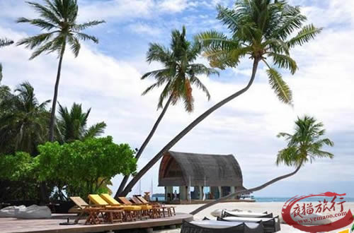马尔代夫选岛攻略：薇拉瓦鲁岛又名海龟岛/AV岛,Angsana Velavaru Island,悦椿薇拉瓦鲁岛景点