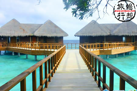 马尔代夫选岛攻略：班度士岛/班多士岛Bandos Island Resort & Spa