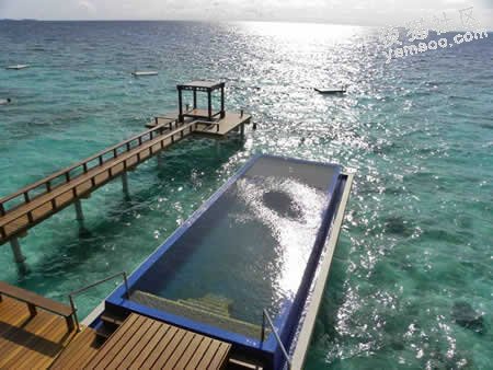马尔代夫潜水好一点的岛屿推荐