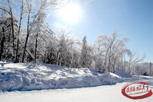 【哈尔滨】哈尔滨当地跟团亚布力雪乡品质五日游