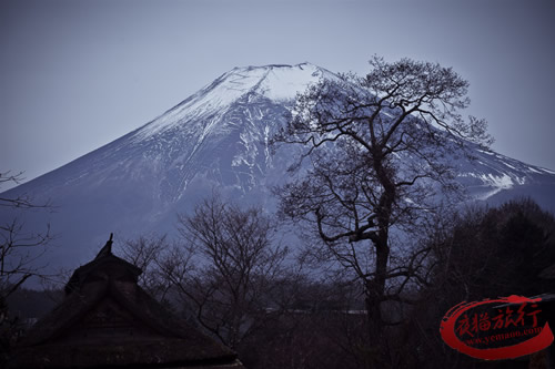 【日本】广东抱团去日本东京•北海道7天豪华团